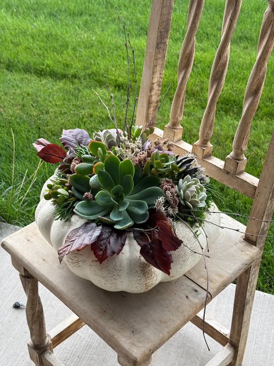 A white pumpkin topped with succulents and fall accents, sitting on a wooden chair