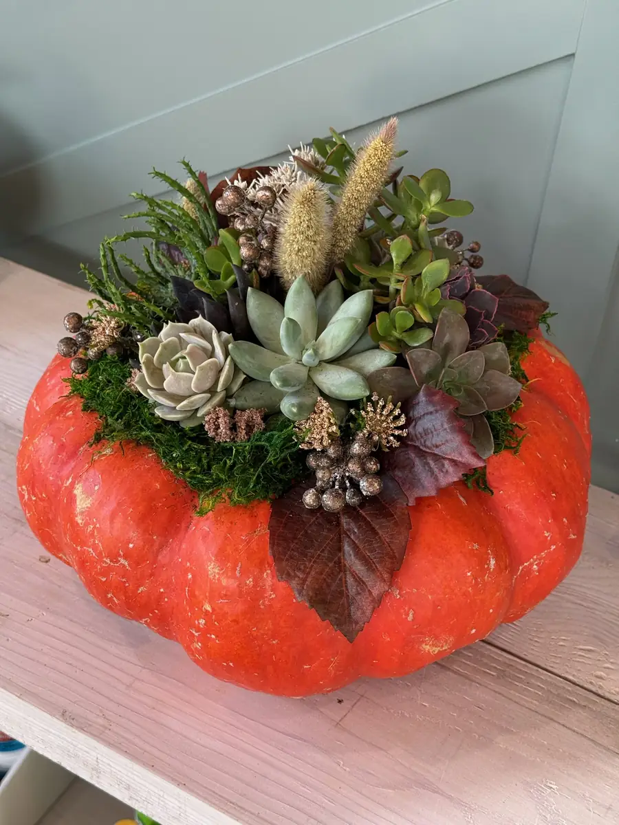 A bright orange pumpkin topped with succulents, moss and dried accents