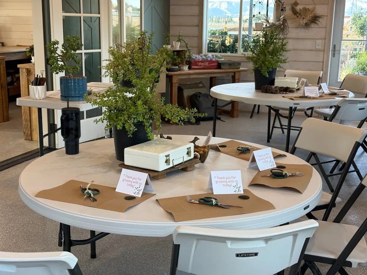 The workshop space set for a bonsai class: round tables with tools, kraft placemats and thank-you cards